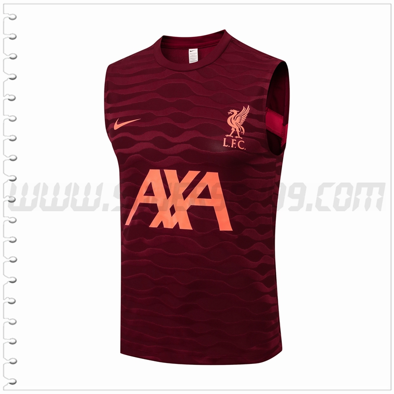 Camiseta Entrenamiento Sin Mangas FC Liverpool Rojo 2021 2022