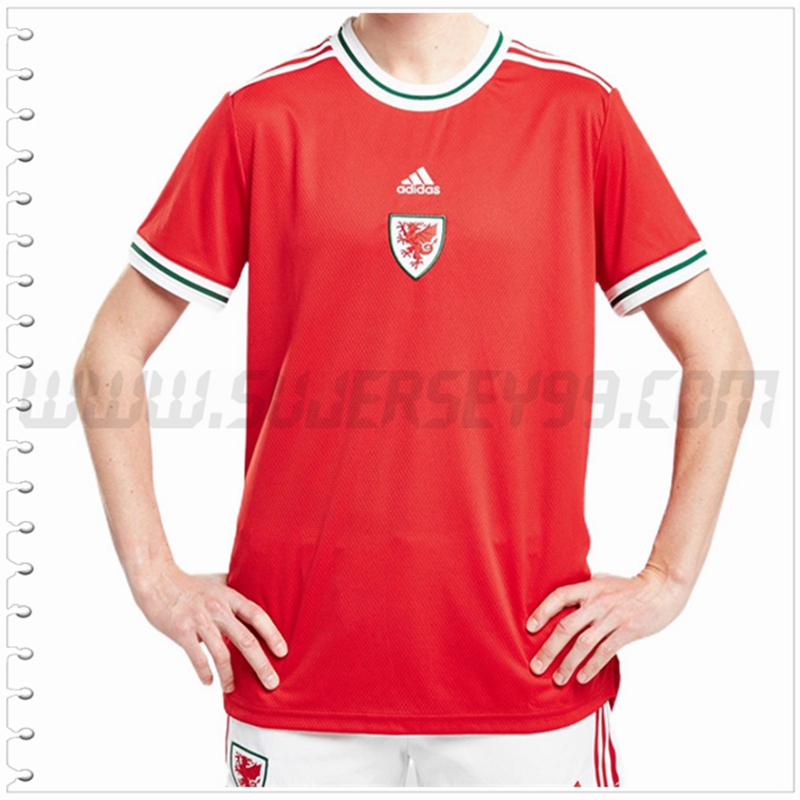 Primera Camiseta Equipo Gales 2022 2023