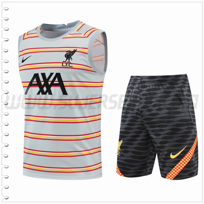 Camiseta Entrenamiento Sin Mangas FC Liverpool + Pantalones Cortos Gris 2022 2023