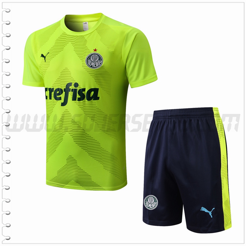 Camiseta Entrenamiento Palmeiras + Pantalones Cortos Verde 2022 2023