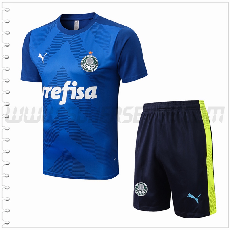 Camiseta Entrenamiento Palmeiras + Pantalones Cortos Azul 2022 2023