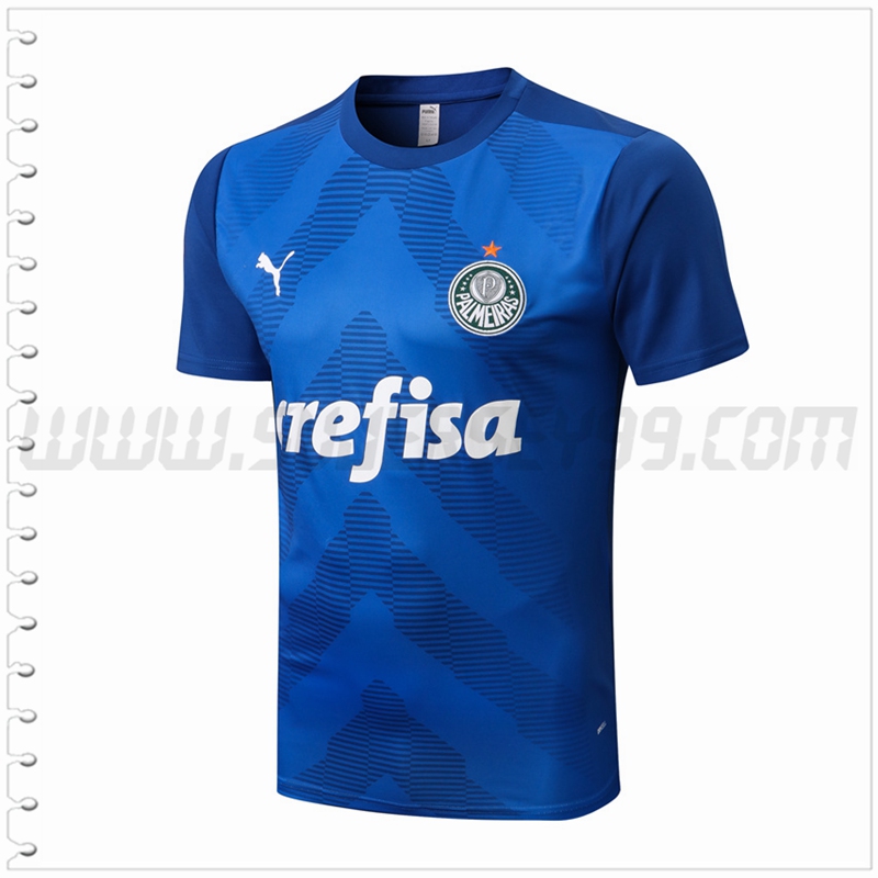 Camiseta Entrenamiento Palmeiras Azul 2022 2023