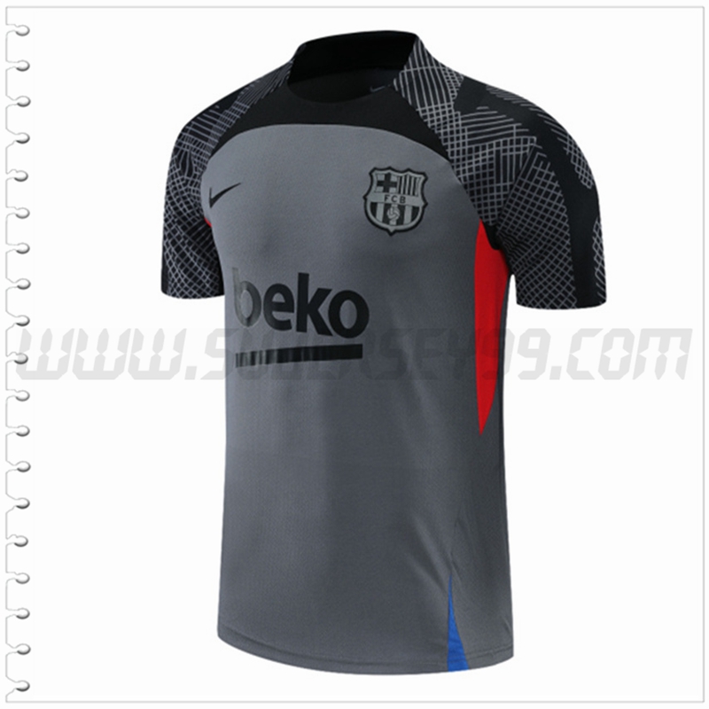 Camiseta Entrenamiento FC Barcelona Gris 2022 2023