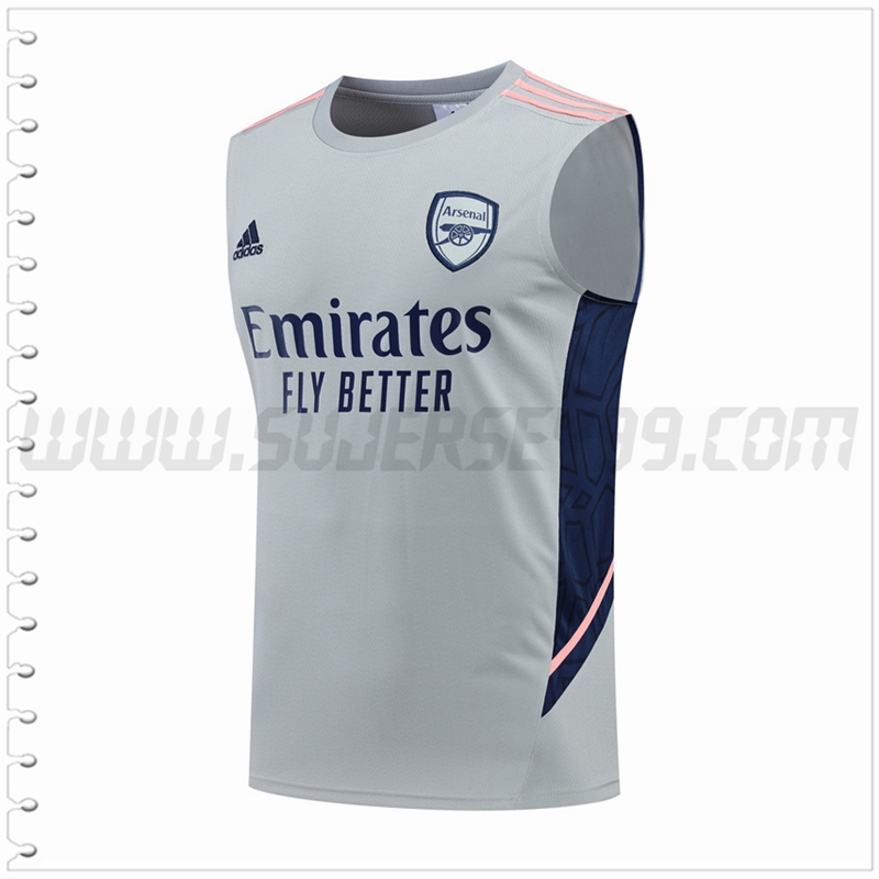 Camiseta Entrenamiento Sin Mangas Arsenal Gris 2022 2023