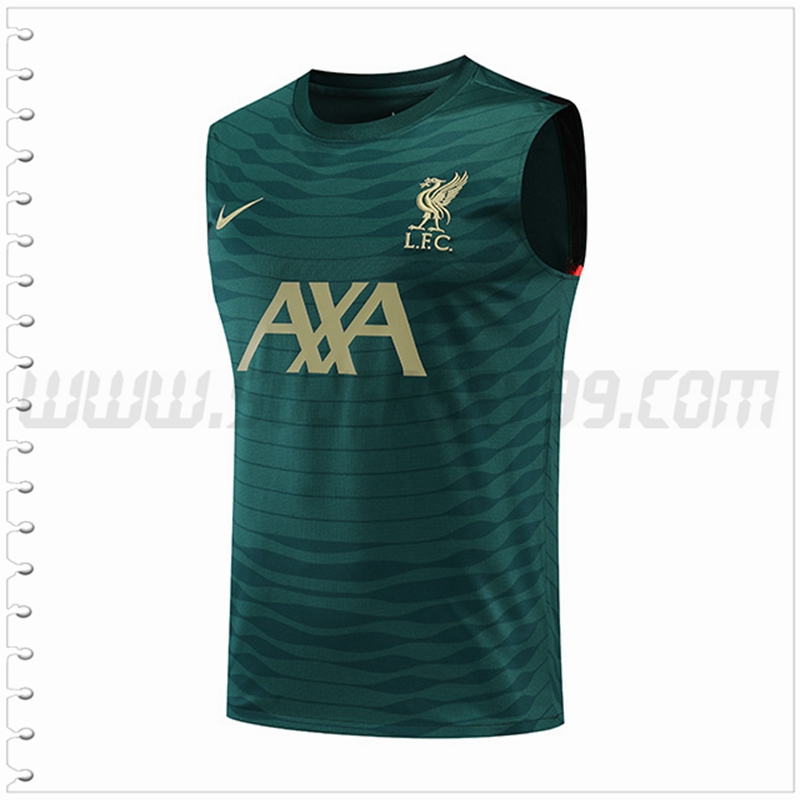 Camiseta Entrenamiento Sin Mangas FC Liverpool Verde 2022 2023