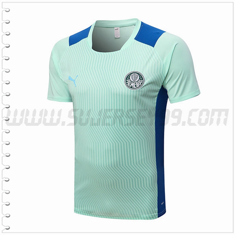 Camiseta Entrenamiento Palmeiras Verde 2022 2023