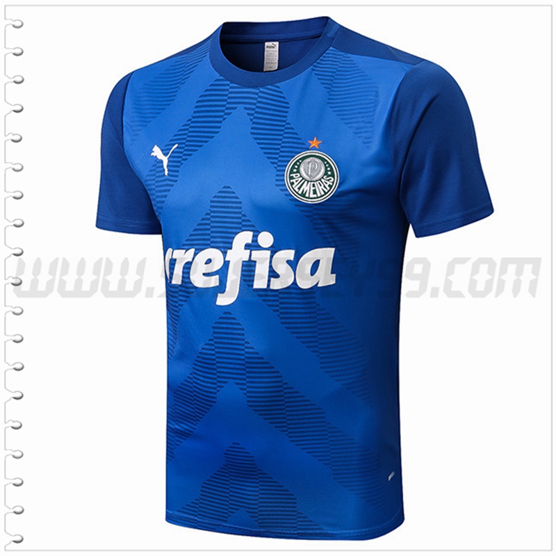 Camiseta Entrenamiento Palmeiras Azul 2022 2023