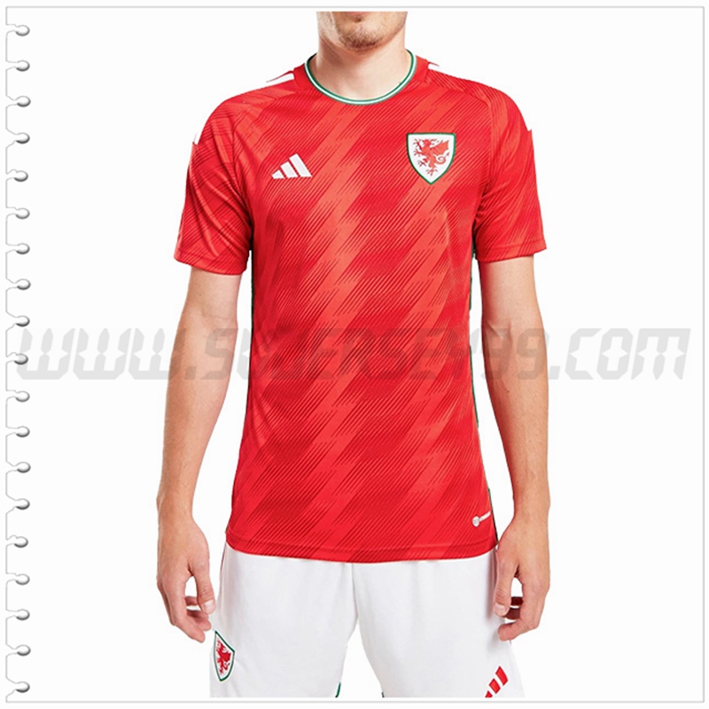 Segunda Nuevo Camiseta Equipo Gales 2022 2023