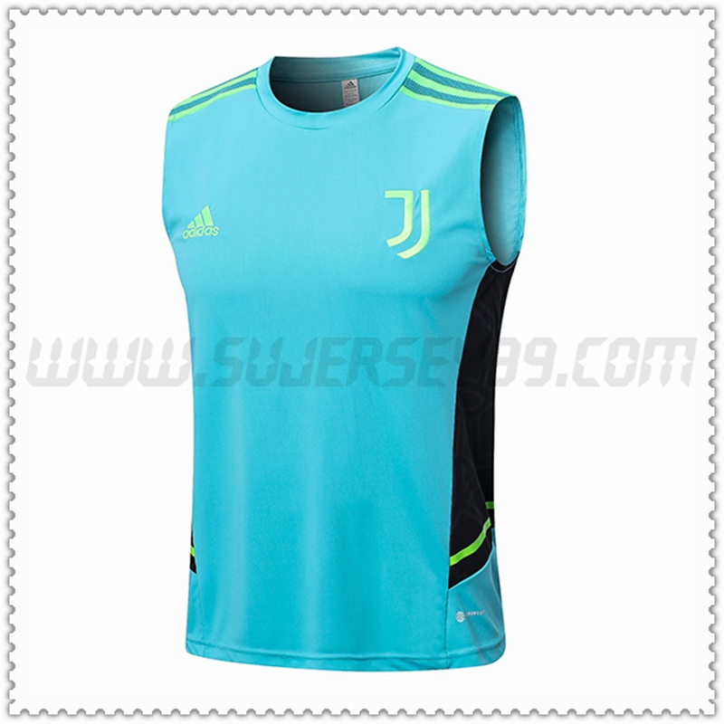 Camiseta Entrenamiento Sin Mangas Juventus Verde 2022 2023