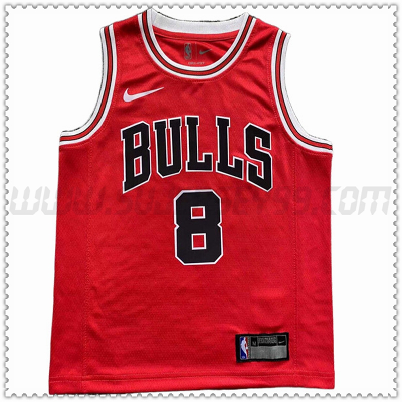 Camiseta Chicago Bulls (LAVINE #8) 202022 2023 Rojo