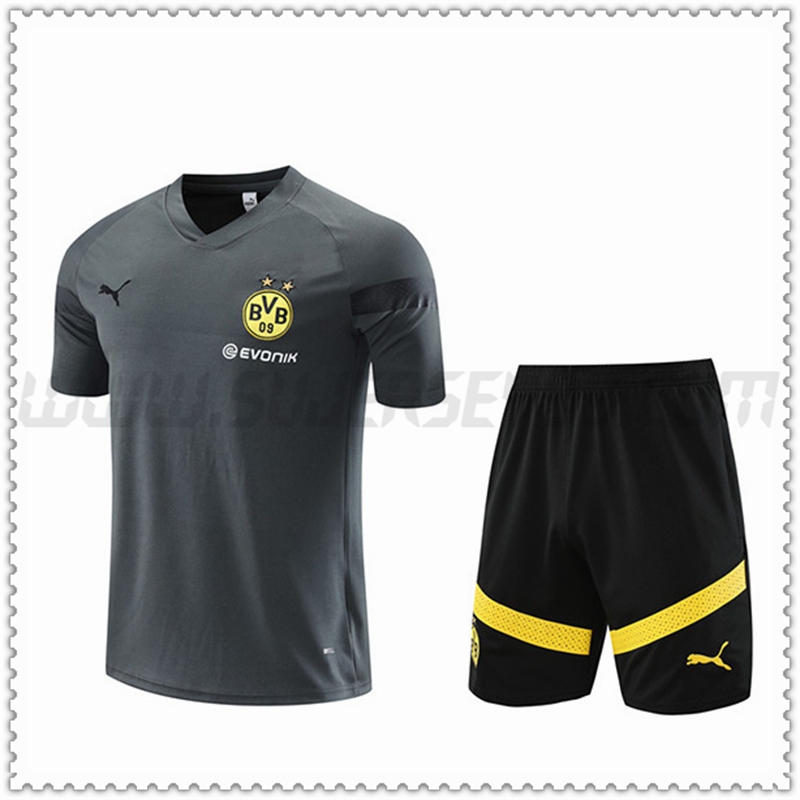 Camiseta Entrenamiento + Pantalones Cortos Dortmund Gris 2022 2023