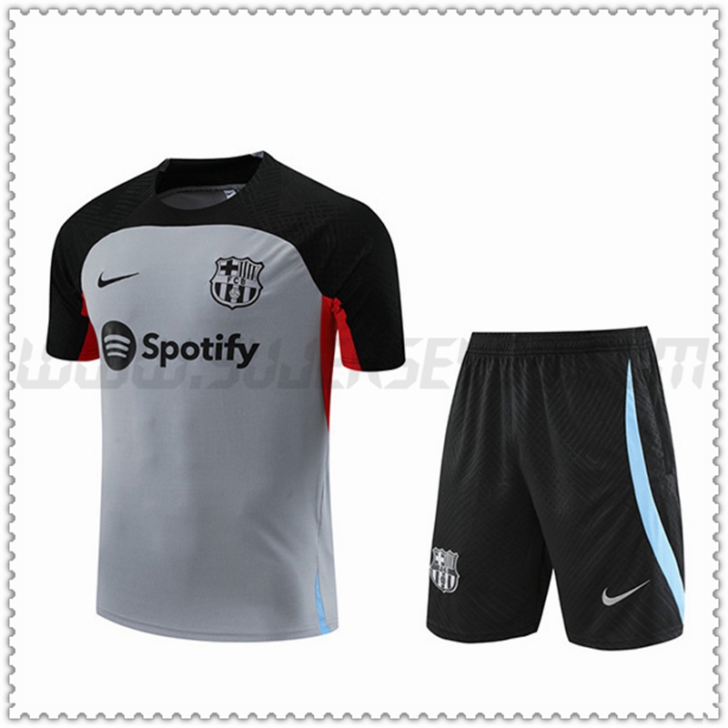 Camiseta Entrenamiento + Pantalones Cortos FC Barcelona Gris 2022 2023