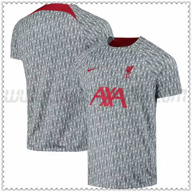 Camiseta Entrenamiento FC Liverpool Gris 2022 2023