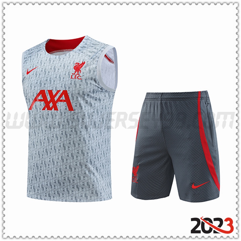 Camiseta Entrenamiento Sin Mangas FC Liverpool + Pantalones cortos Gris 2023 2024