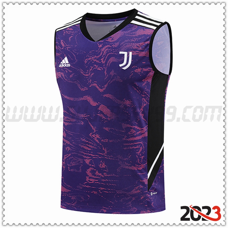 Camiseta Entrenamiento Sin Mangas Juventus Púrpura 2023 2024