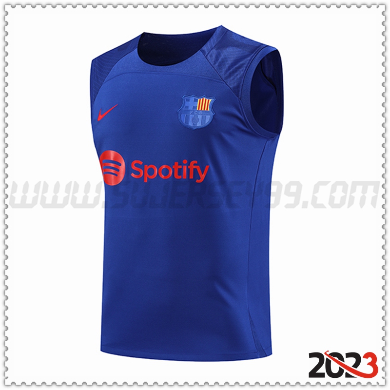 Camiseta Entrenamiento Sin Mangas FC Barcelona Azul 2023 2024