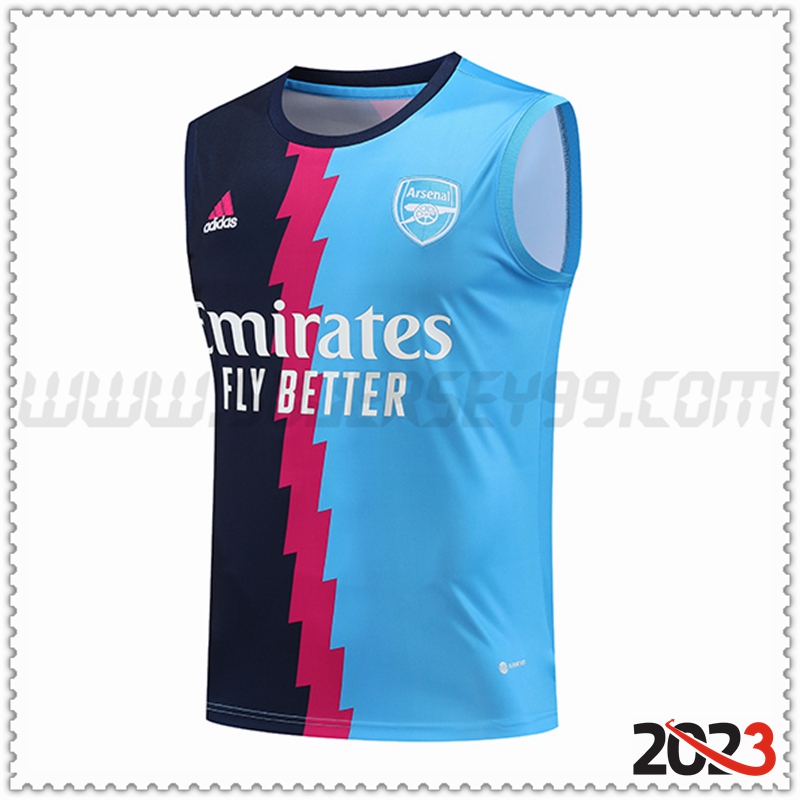 Camiseta Entrenamiento Sin Mangas Arsenal Azul 2023 2024