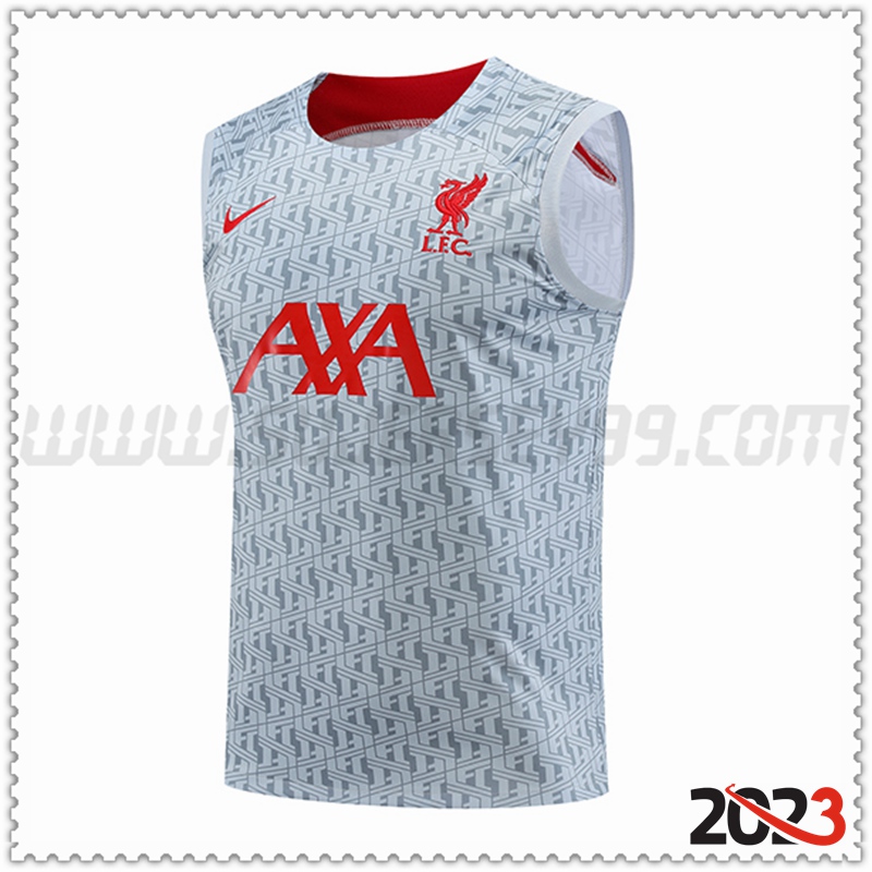 Camiseta Entrenamiento Sin Mangas FC Liverpool Gris 2023 2024