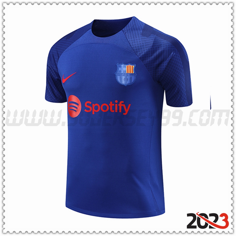 Camiseta Entrenamiento PSG Jordan Rojo 2023 2024