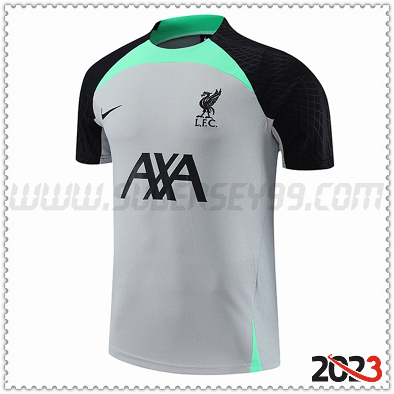 Camiseta Entrenamiento FC Liverpool Gris 2023 2024