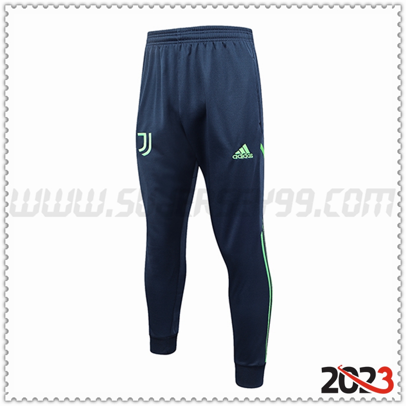Pantalones Entrenamiento juventus Verde 2023 2024