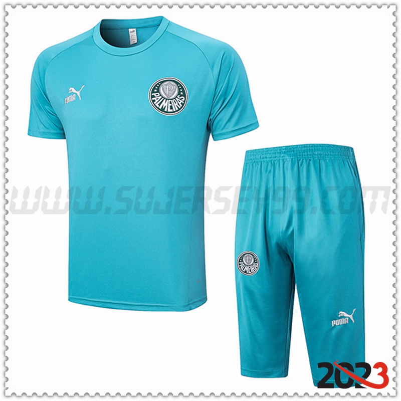 Camiseta Entrenamiento + Cortos Palmeiras Verde 2023 2024