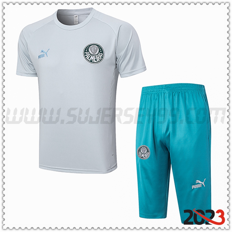 Camiseta Entrenamiento + Cortos Palmeiras Gris Claro 2023 2024