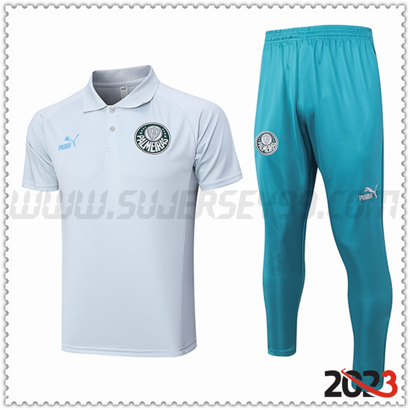 Camiseta Polo Palmeiras Gris 2023 2024