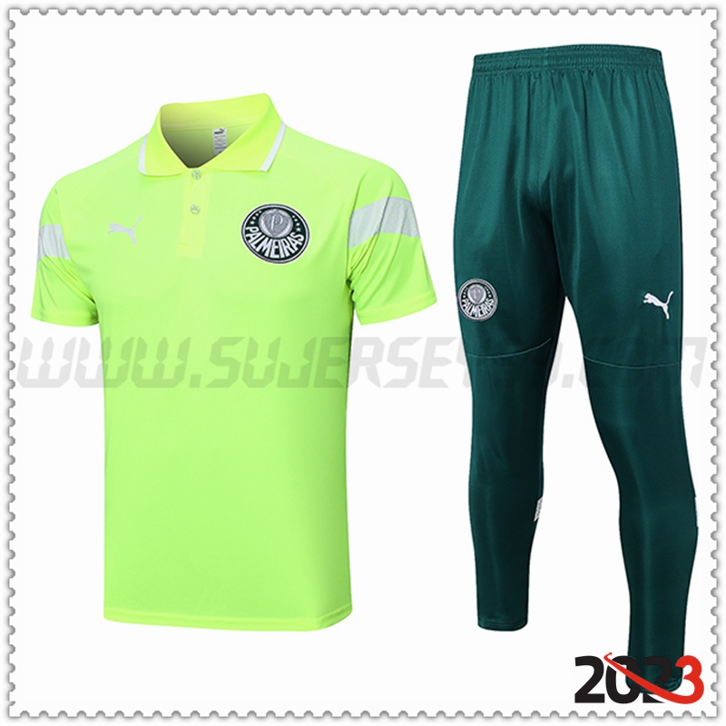 Camiseta Polo Palmeiras Verde 2023 2024 -02