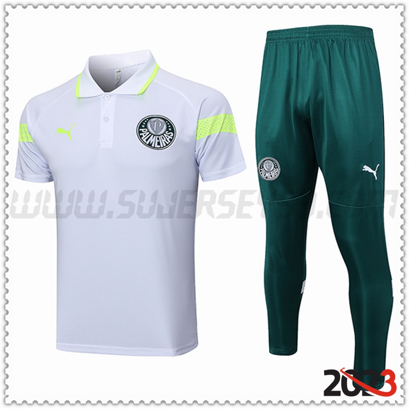 Camiseta Polo Palmeiras Gris 2023 2024 -02