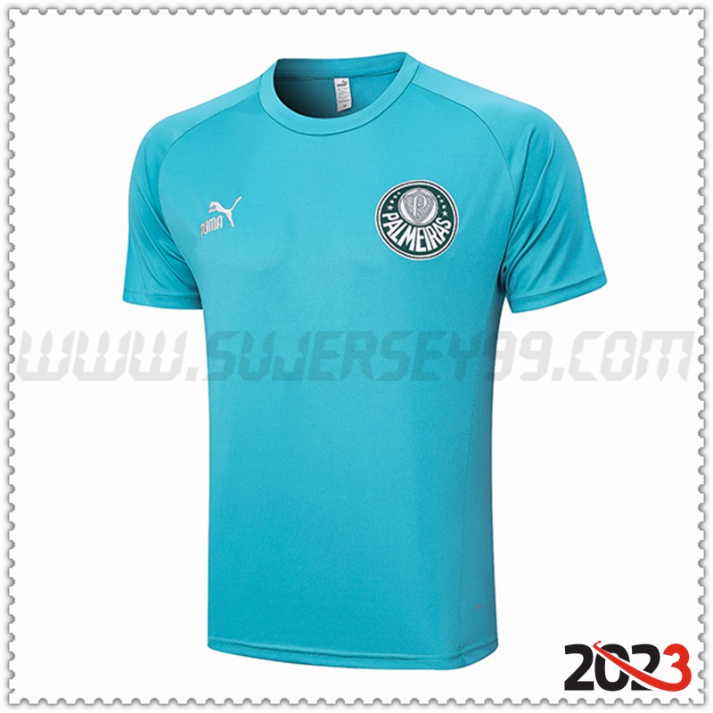 Camiseta Entrenamiento Palmeiras Verde 2023 2024