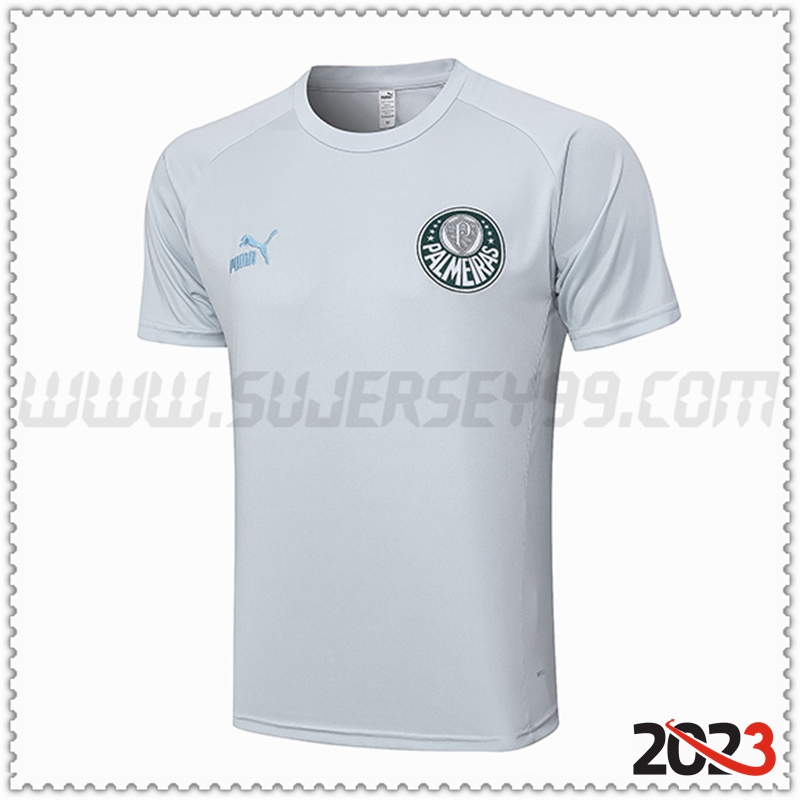 Camiseta Entrenamiento Palmeiras Gris Claro 2023 2024