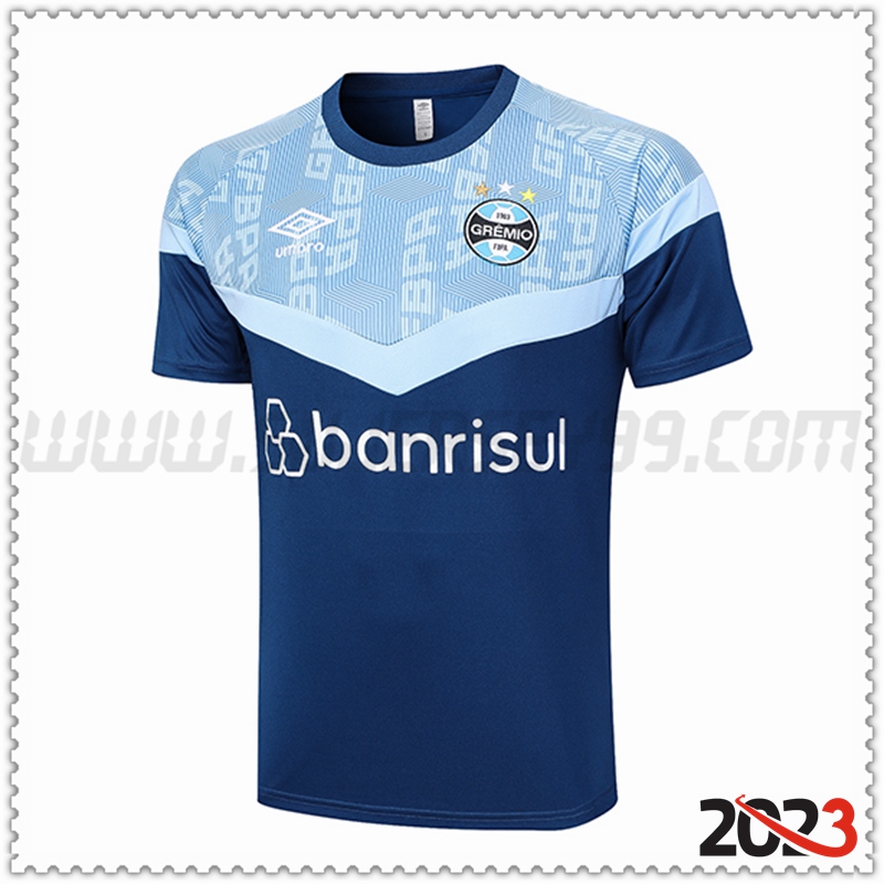 Camiseta Entrenamiento Gremio Azul 2023 2024 -02