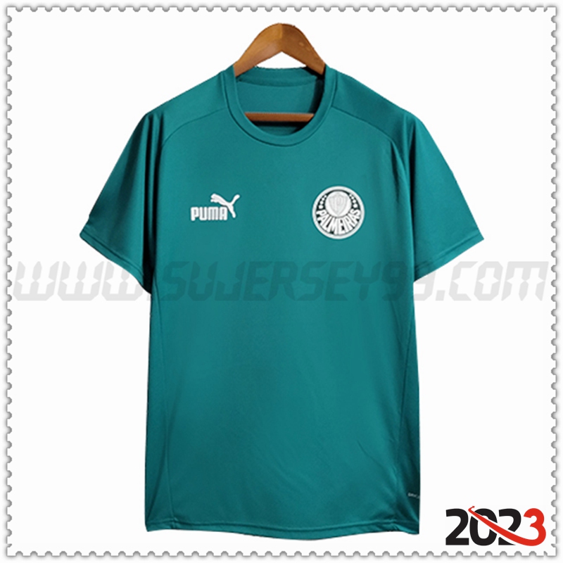 Camiseta Entrenamiento Palmeiras Verde 2023 2024 -02