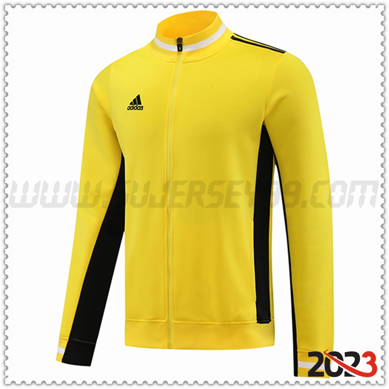 Chaquetas Futbol Adidas Amarillo 2023 2024