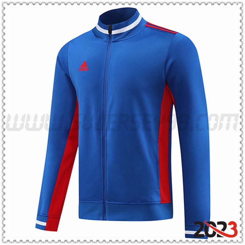 Chaquetas Futbol Adidas Azul 2023 2024