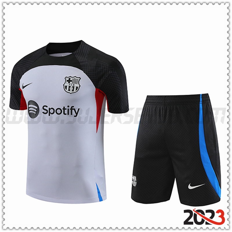 Camiseta Entrenamiento + Cortos FC Barcelona Gris 2023 2024