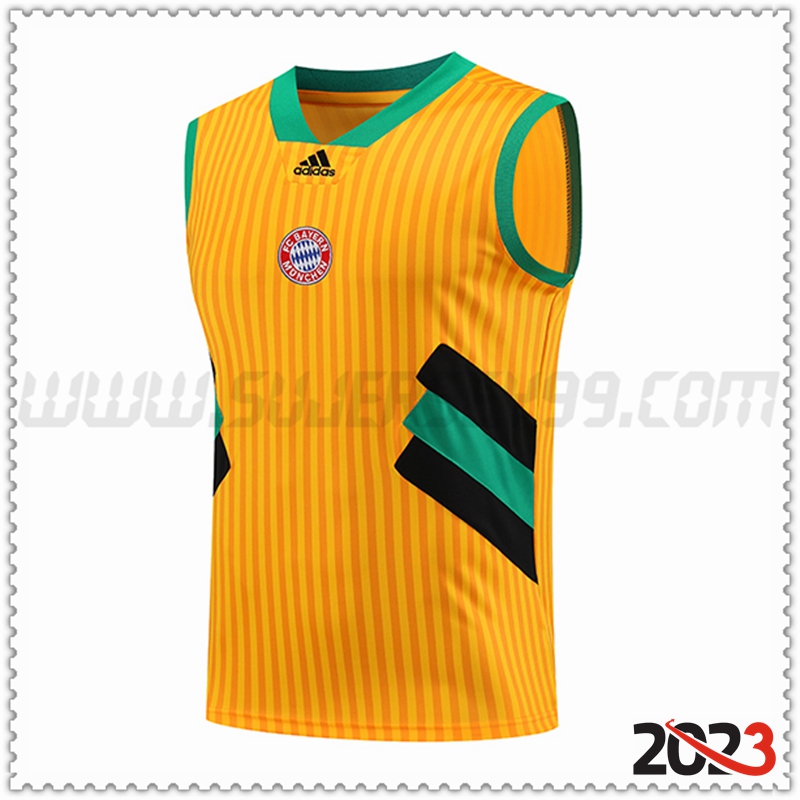 Chalecos De Futbol Bayern Munich Amarillo 2023 2024