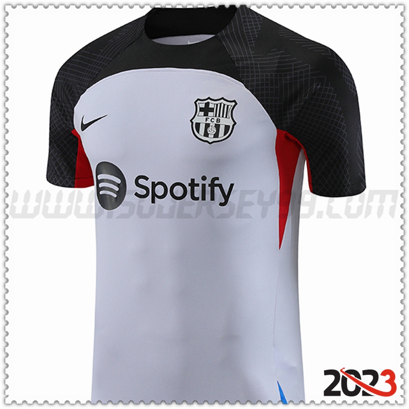 Camiseta Entrenamiento FC Barcelona Gris 2023 2024