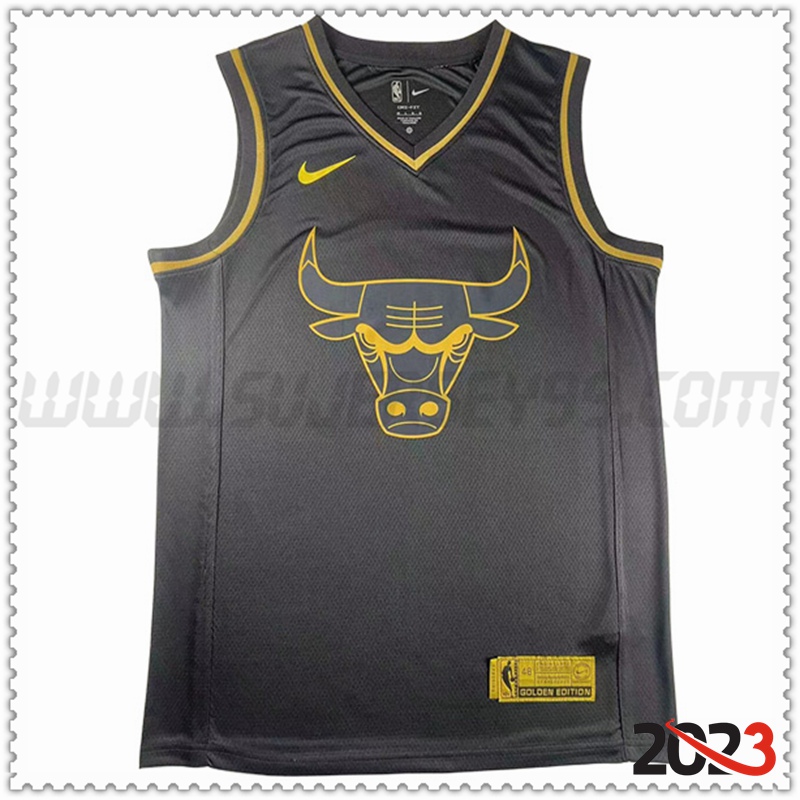 Camisetas Chicago Bulls (JAMES #23) 2023/24 Negro