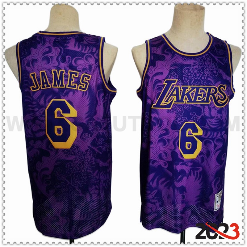 Camisetas Los Angeles Lakers (JAMES #6) 2023/24 Violeta -02