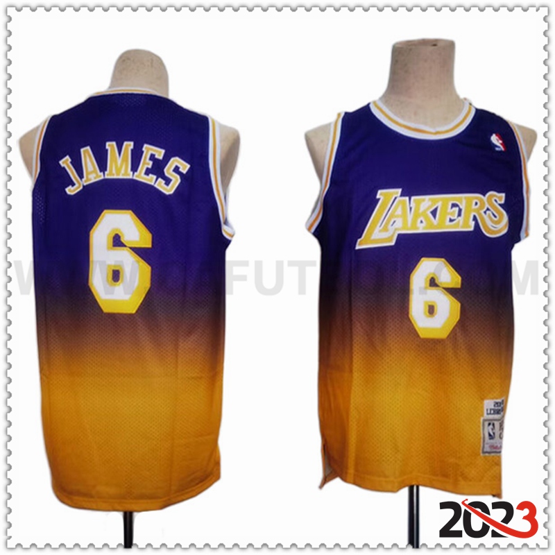 Camisetas Los Angeles Lakers (JAMES #6) 2023/24 Violeta/Amarillo