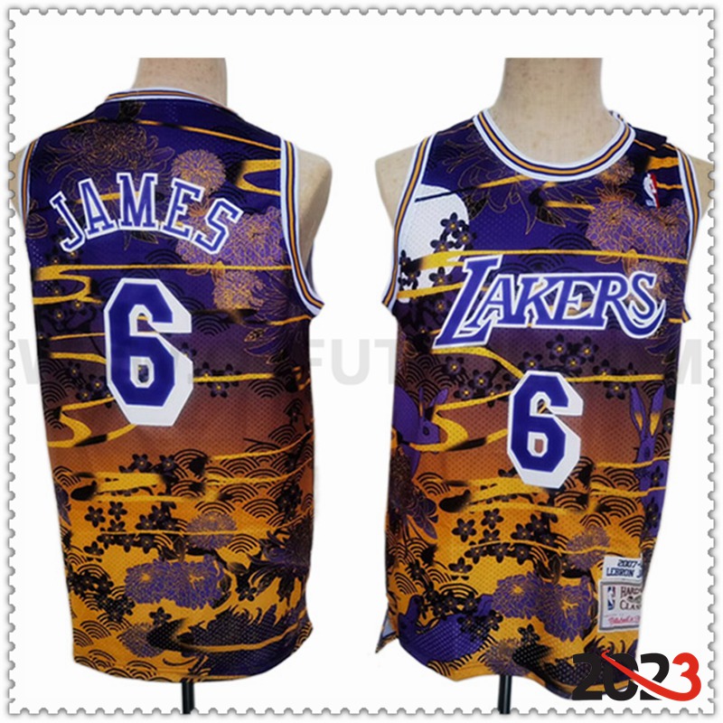 Camisetas Los Angeles Lakers (JAMES #6) 2023/24 Violeta/Amarillo -02