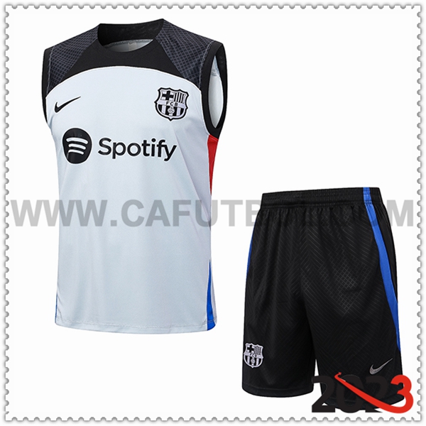 Camiseta Entrenamiento sin mangas + Cortos FC Barcellona Gris 2023 2024 -02