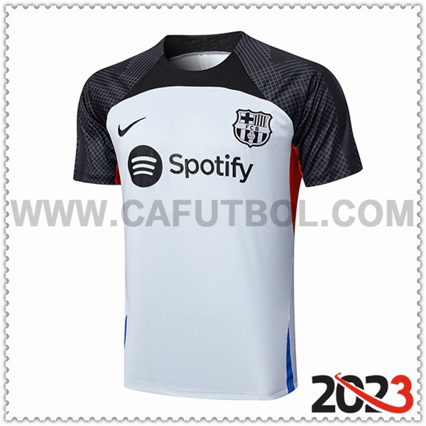 Camiseta Entrenamiento FC Barcellona Gris 2023 2024 -02