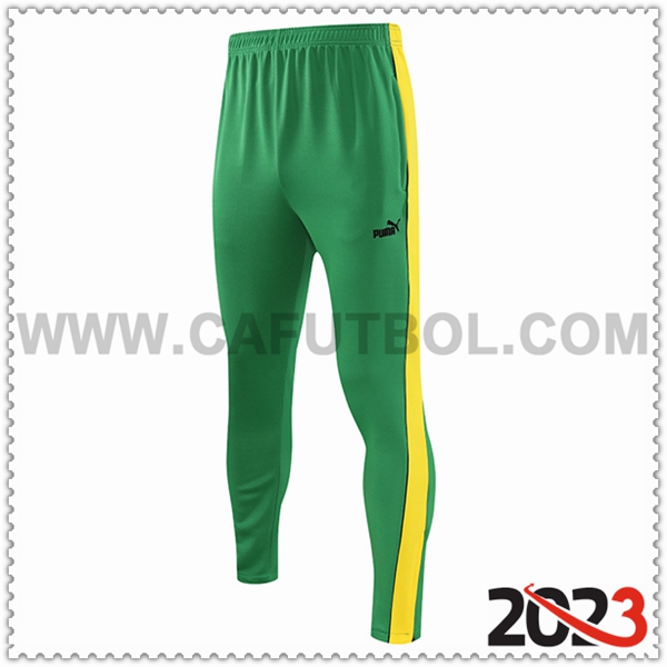 Pantalones Entrenamiento PUMA Verde 2023 2024