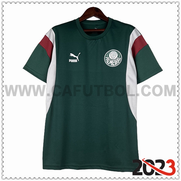 Camiseta Futbol Palmeiras Verde 2023 2024