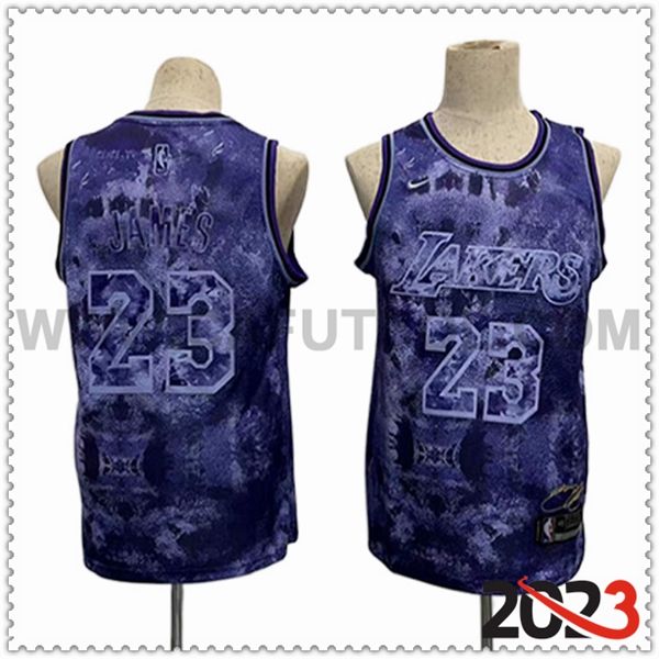 Camisetas Los Angeles Lakers (JAMES #23) 2023/24 Violeta