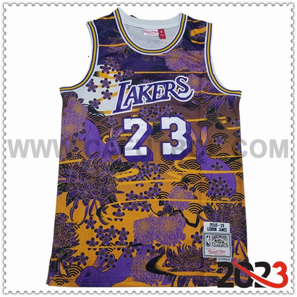 Camisetas Los Angeles Lakers (JAMES #23) 2023/24 Amarillo/Violeta