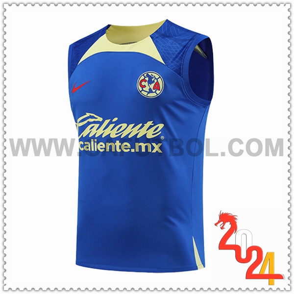 Chalecos De Futbol Club America Azul/Verde 2024/2025